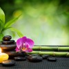 Healing Lotus Massage