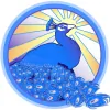 Bluebird Therapeutic Massage & Bodywork