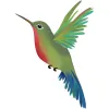 Wandering Hummingbird Massage