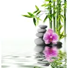 Foot Massage Spa