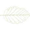 Alderwood Massage Therapy