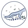 Complete Chiropractic & Massage